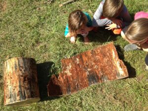 Homeschooling in Preschool: Play